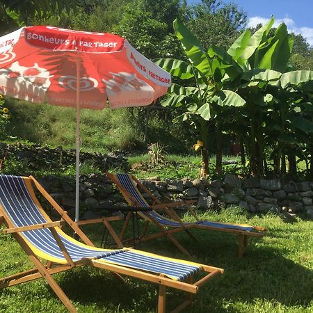 La Auarje: Appartement Avec Jardin & Terrasse Cierp Extérieur photo