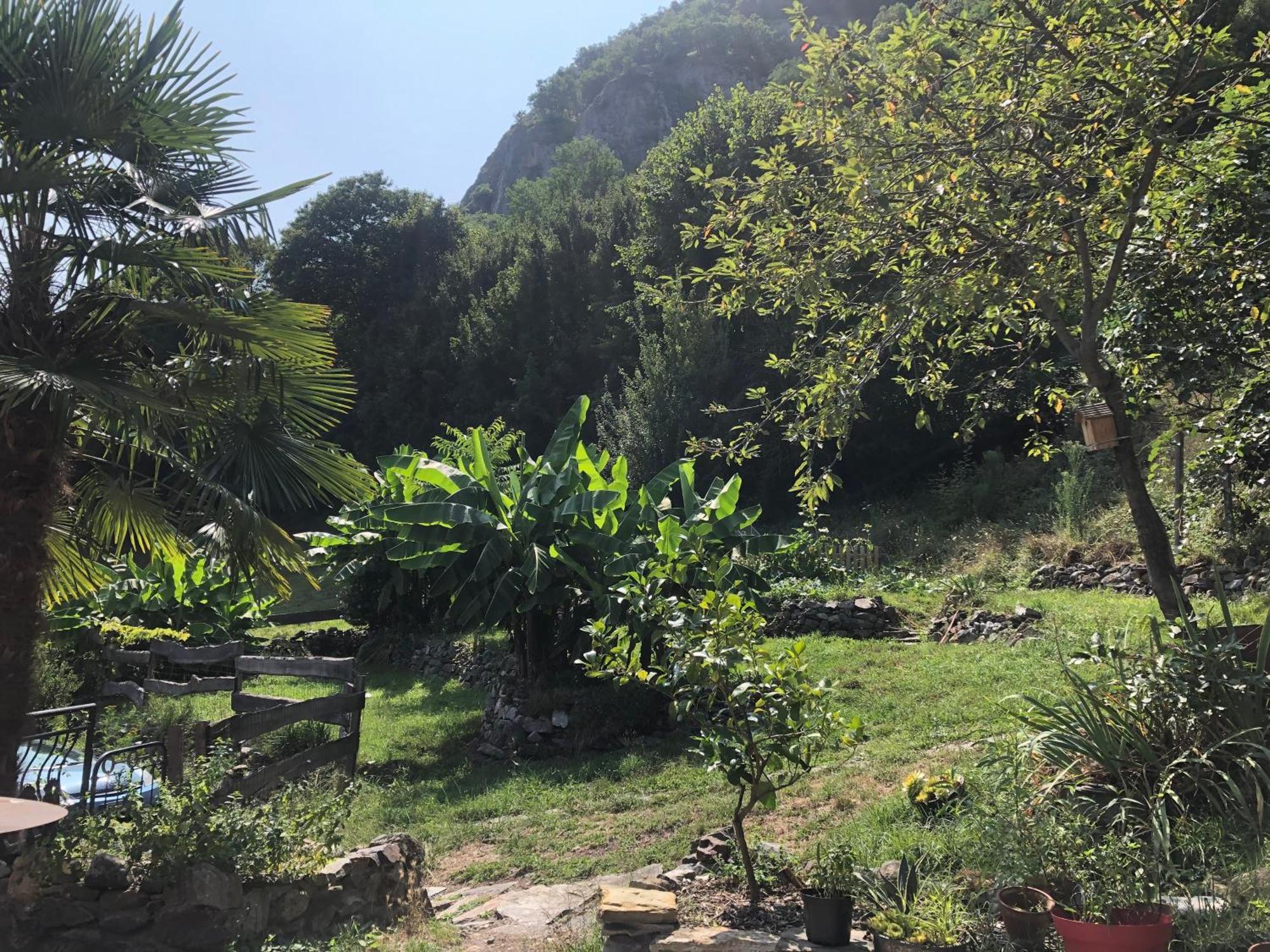 La Auarje: Appartement Avec Jardin & Terrasse Cierp Extérieur photo
