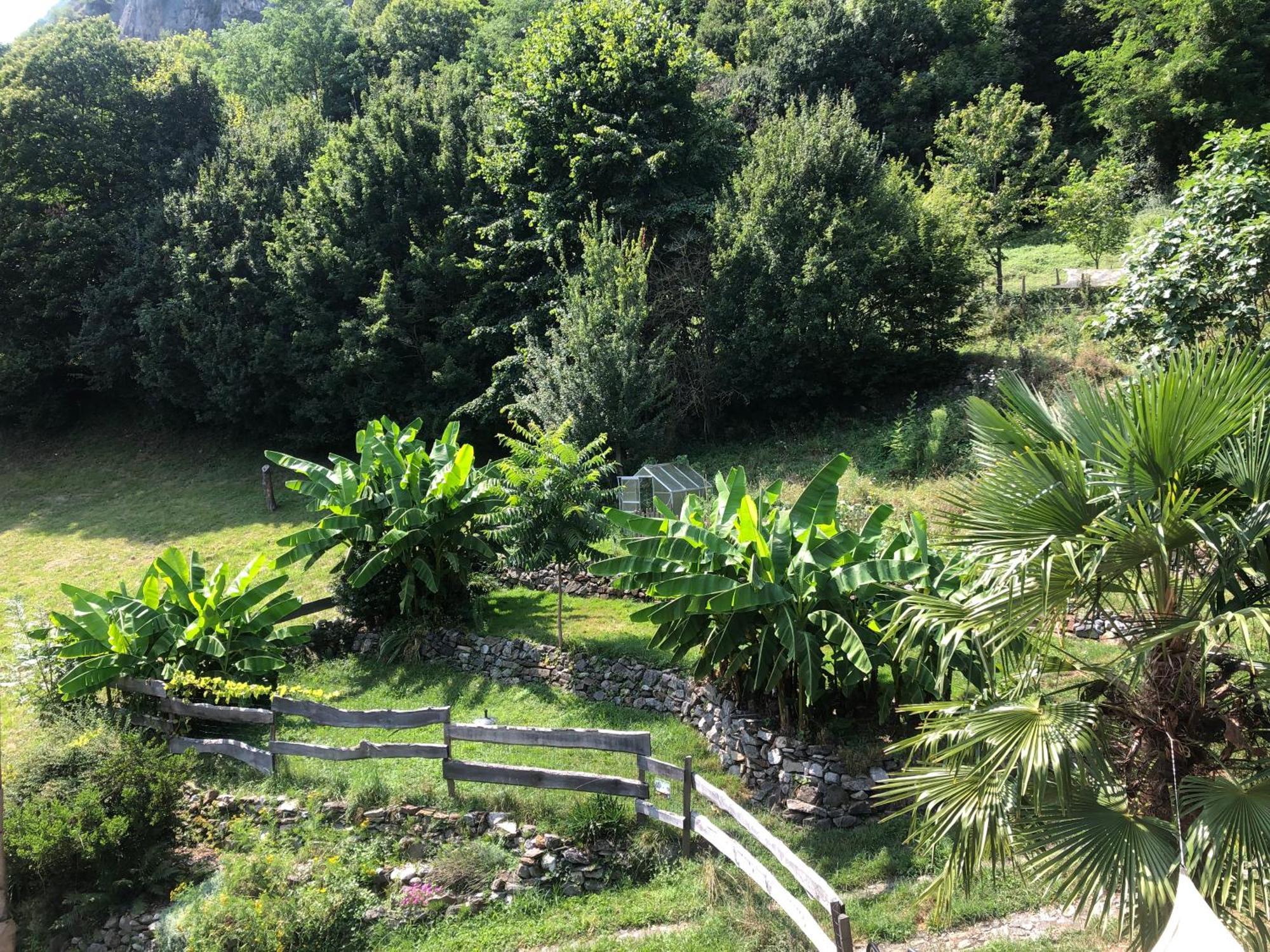 La Auarje: Appartement Avec Jardin & Terrasse Cierp Extérieur photo