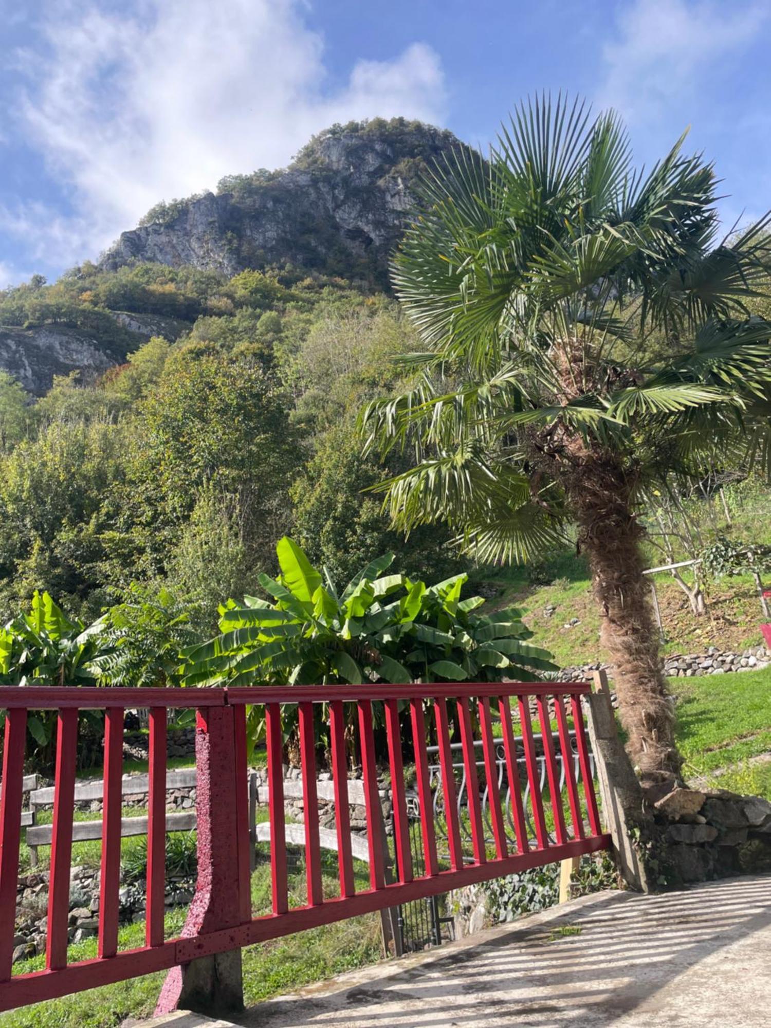 La Auarje: Appartement Avec Jardin & Terrasse Cierp Extérieur photo